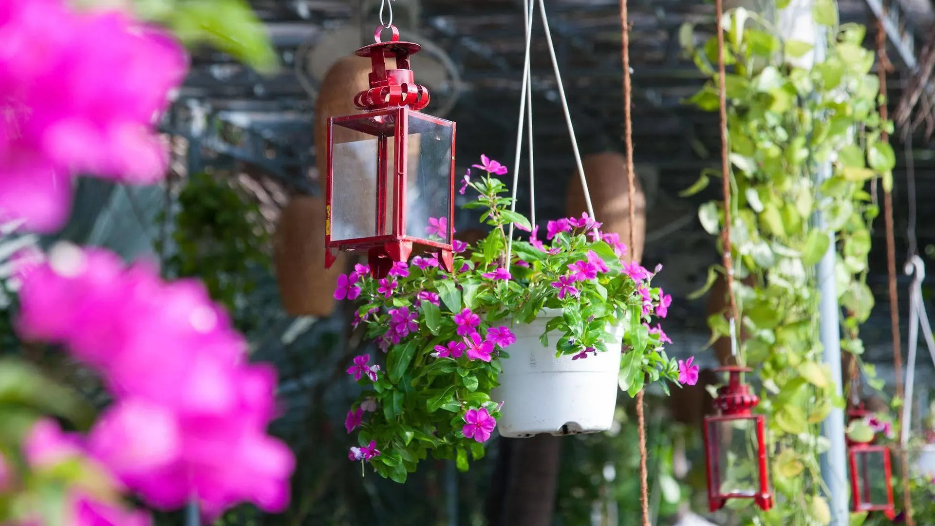 Muca Hoi An Boutique Resort & Spa